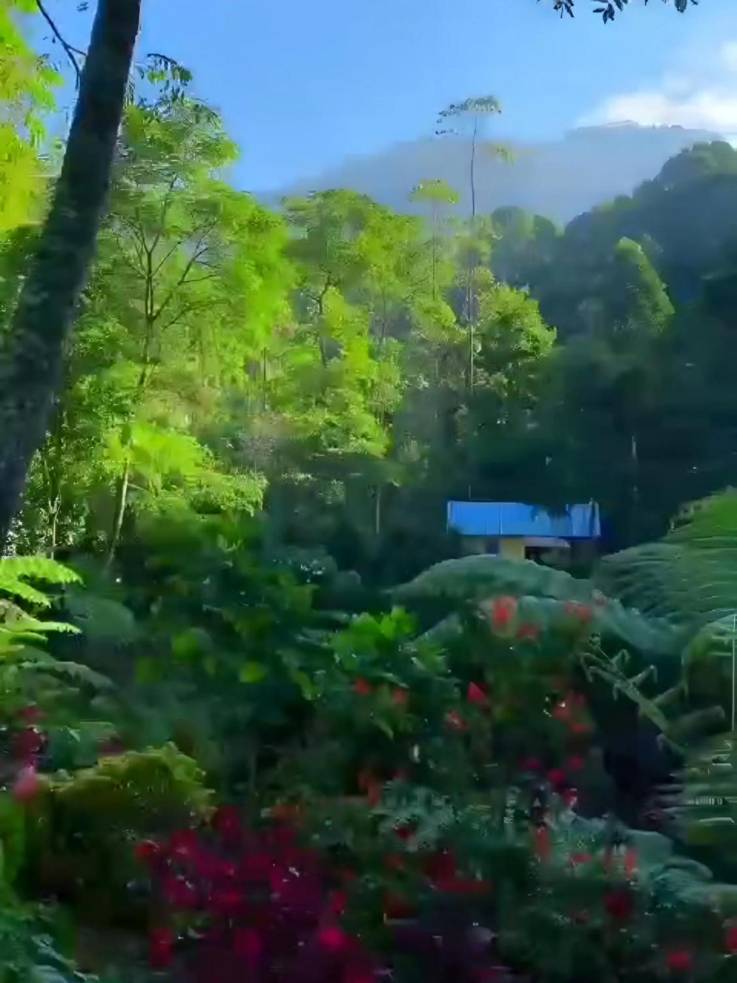 Penginapan Nuansa Riung Gunung Hotel Pangalengan Ngoại thất bức ảnh